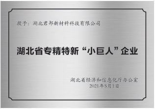 湖北省專精特新“小巨人”認定